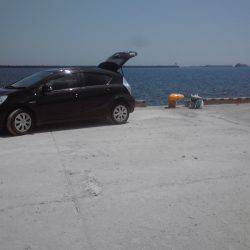 新宮港で小アジ